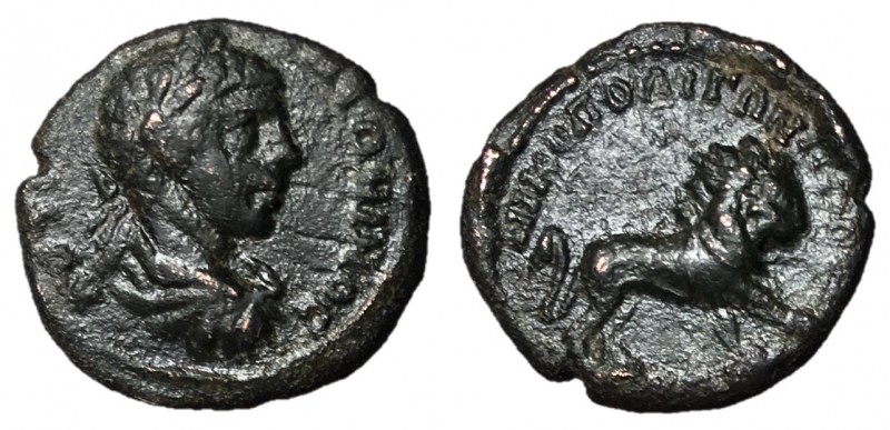 Elagabalus, 218 - 222 AD
AE25, Commagene, Zeugma Mint, 9.00 grams
Obverse: Lau...