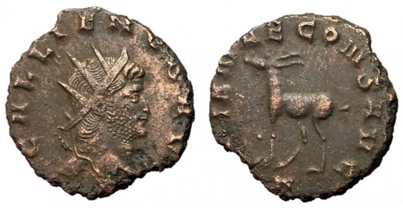 Gallienus, 253 - 268 AD
AE Antoninianus, Rome Mint, 18mm, 2.93 grams
Obverse: ...