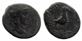 PHRYGIA. Amorium. Augustus (27 BC-14 AD). Ae. Uncertain magistrate.
head right
Rev: Eagle standing right.
Cf. RPC I 3231-4.
4,44 gr. 19 mm