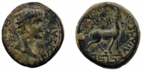 PHRYGIA. Apameia. Germanicus (Caesar, 4 BC-19 AD). Ae
Bare head right.
Rev: Stag standing right on meander pattern.
RPC I 3134.
2,74 gr. 14 mm