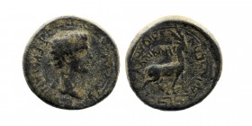 PHRYGIA. Apameia. Germanicus (Caesar, 4 BC-AD 19). Ae
Obv: ΓEPMANIKOΣ KAIΣAP.
Bare head right.
Rev: IOYΛIOΣ KAΛΛIKΛHΣ AΠAMEΩN.
Stag standing right...