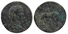 PISIDIA. Antioch. Severus Alexander (222-235). Ae
Laureate head right.
Rev: Lupa Romana standing right, head left, suckling the twins Romulus and Remu...