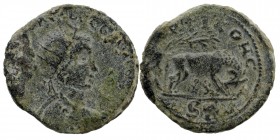 Pisidia, Antioch. Gallienus (253-268) AE
Radiate and cuirassed bust right
She-wolf standing right suckling the twins Remus and Romulus; tree behind. 
...