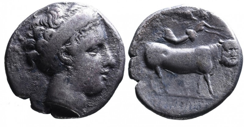 Campania, Neapolis, ca. 350-325 BC.
Head of nymph wearing broad headband and ear...