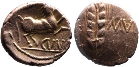 Celtic tribes, Trinovantes and Catuvellauni, Cunobelin, Camulodunum Mint, ca. AD 10-43.
Grain ear, CA-MV in fields;
Horse jumping right, above branch,...