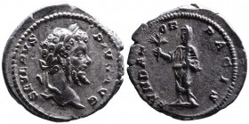 Septimius Severus, AD 193-211, Rome Mint, ca. AD 202-210.
Laureate head of Septimius Severus right, SEVERVS PIVS AVG;
Emperor in veil and toga standin...