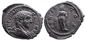 Geta AD 198-212, as caesar, Rome Mint, ca. AD 203-208.
Bare and draped bust of Geta right, P SEPTIMIVS GETA CAES;
Minerva standing left, leaning on sh...