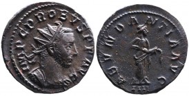Probus 276-282 AD, Lugdunum Mint, ca. AD 277-279.
Radiate and cuirassed bust of Probus right, IMP C PROBVS PF AVG;
Abundantia standing right, emtying ...