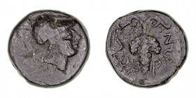 MONEDAS ANTIGUAS
LOKRIS
AE-12. (circa 325-300 a.C.) A/Cabeza con casco de Atenea a der. R/Racimo de uvas y ley. 2,23 g. SNG-Cop.75. MBC. Pátina negr...