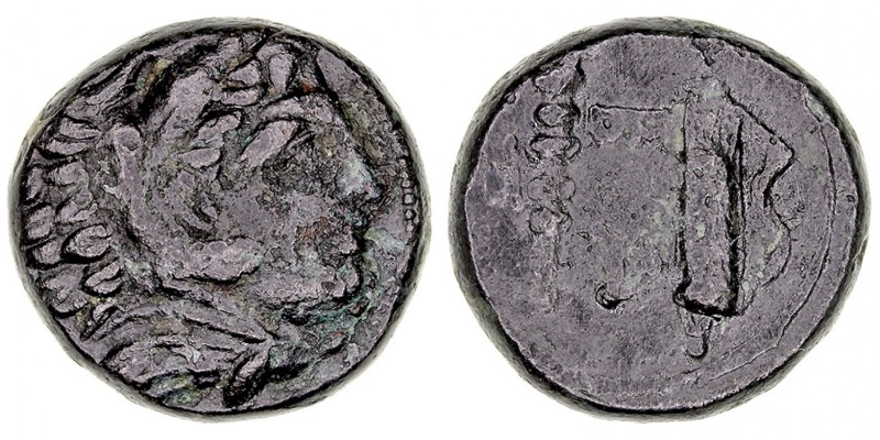 MONEDAS ANTIGUAS
REINO MACEDONIO
Alejandro Magno. AE-17. (336-323 a.C.) Ceca i...