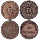 MONEDAS EXTRANJERAS
ARGENTINA
Lote de 2 monedas. AE. Centavo 1854 (2) MBC a BC