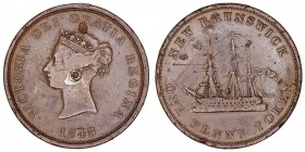 MONEDAS EXTRANJERAS
CANADÁ
Victoria. Penny. AE. 1843. New Brunswick Penny token. KM.2. Intento agujerito y golpes, si no BC+