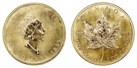 MONEDAS EXTRANJERAS
CANADÁ
Isabel II. 50 Dólares. AV. 1995. Maple. 1 onza oro fino. 31,10 g. KM.191. SC-