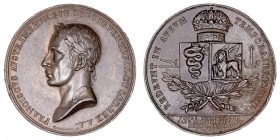 MEDALLAS
AUSTRIA
AE-42. Francisco Emperador, 1815. El metal empleado es zinc con un baño. Golpecitos en listel, si no MBC+