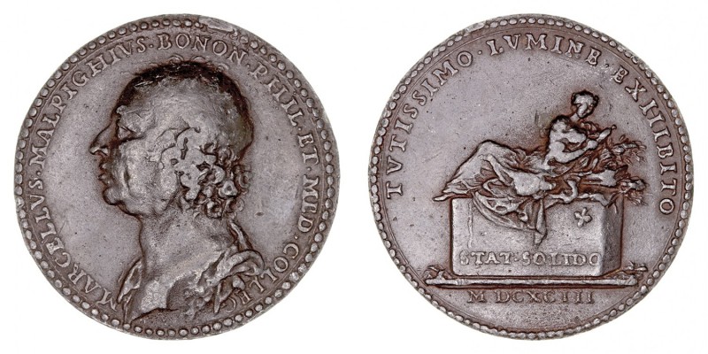 MEDALLAS
AE-35. Dedicada a Marcelo Malpighi. Siglo XIX. El metal empleado es zi...