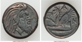 CIMMERIAN BOSPORUS. Panticapaeum. 4th century BC. AE (21mm, 7.89 gm, 6h). VF. Head of bearded Pan right / Π-A-N, forepart of griffin left, sturgeon le...