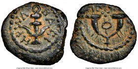 JUDAEA. Herodians. Herod I the Great (40-4 BC). AE prutah (14mm, 11h). NGC Choice XF S. Jerusalem. BA-CI-HPωΔ, anchor / Double cornucopia adorned with...