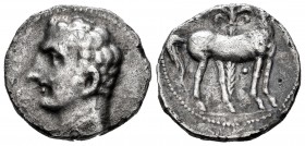 Cartagonova. Siclo. 220-205 a.C. Cartagena (Murcia). (Abh-547). (Acip-620). Anv.: Cabeza masculina a izquierda. Rev.: Caballo parado a derecha, detrás...