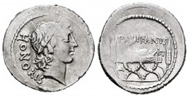 Lollia. Lollius Palikanus. Denario. 45 a.C. Roma. (Ffc-820). (Craw-473/2). (Cal-908). Anv.: Cabeza laureada de Honor a derecha, detrás HONORIS. Rev.: ...
