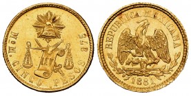México. 5 pesos. 1881/0. México. M. (Km-412.6). (Fried-139). Au. Restos de brillo original. Muy rara. EBC+. Est...2000,00. // ENGLISH: Mexico. 5 pesos...