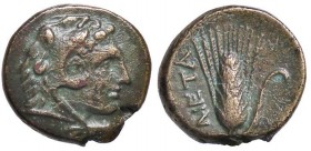 GRECHE - LUCANIA - Metaponto - AE 16 - Testa di Eracle a d. /R Spiga d'orzo, a s. META Mont. 2479; S. Ans. 567 (AE g. 2,83)
BB/BB+