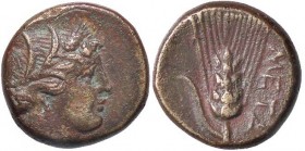 GRECHE - LUCANIA - Metaponto - AE 15 - Testa di Demetra a d. /R Spiga d'orzo Mont. 2485; S. Ans. 1265 (AE g. 2,95)
BB+
