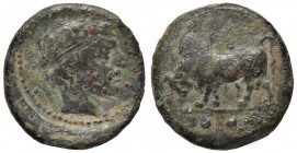 GRECHE - SICILIA - Gela - Trias - Toro a s.; sotto, tre globetti /R Testa del dio fiume a d. Mont. 4217; S. Ans. 106 (AE g. 3,28)
BB