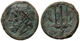 GRECHE - SICILIA - Siracusa - Gerone II (274-216 a.C.) - AE 22 - Testa di Poseidone a s. /R Tridente tra due delfini Mont. 5292; S. Ans. 965 (AE g. 7,...