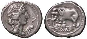 ROMANE REPUBBLICANE - CAECILIA - Q. Caecilius Metellus Pius Imperator (81 a.C.) - Denario - Testa della Pietà a d.; davanti, una cicogna /R Elefante s...