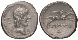 ROMANE REPUBBLICANE - CALPURNIA - L. Calpurnius Piso Frugi (90 a.C.) - Denario - Testa di Apollo a d. /R Cavaliere a s. regge una torcia Cr. 340/1 (AG...