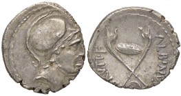 ROMANE REPUBBLICANE - POSTUMIA - D. Postumius Albinus Bruti f. (48 a.C.) - Denario - Testa di Marte a d. /R Due carnyx incrociate; in alto uno scudo o...