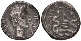 ROMANE IMPERIALI - Augusto (27 a.C.-14 d.C.) - Quinario - Testa a d. /R La Vittoria stante a s. su cista mistica; ai lati, due serpenti C. 14; RIC 18 ...