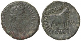 ROMANE IMPERIALI - Augusto (27 a.C.-14 d.C.) - Asse - Testa laureata a d. /R Toro stante a d. C. 700 (AE g. 14,01)
BB/BB+