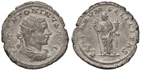 ROMANE IMPERIALI - Elagabalo (218-222) - Antoniniano - Busto radiato e drappeggiato a d. /R La Felicità stante a s. con caduceo e cornucopia C. 280; R...
