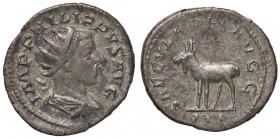 ROMANE IMPERIALI - Filippo II (247-249) - Antoniniano - Busto radiato e drappeggiato a d. /R Capra andante a s., all'esergo III C. 72; RIC 224 (AG g. ...