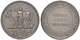 MEDAGLIE - CITTA' - Firenze - Medaglia Comizio agrario AG Opus: Pieroni Ø 42 Lavata al R/
SPL