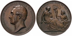 MEDAGLIE - CITTA' - Firenze - Medaglia 1858 - A Francesco de Larderel AE Opus: Voigt Ø 52
SPL