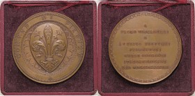 MEDAGLIE - CITTA' - Firenze - Medaglia 1898 - Onoranze a P. Toscanelli e A. Vespucci AE Opus: Giorgi Ø 65 In confezione
FDC