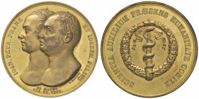 MEDAGLIE - CITTA' - Pavia - Medaglia Gian Pietro e Giuseppe Frank, medico e pittore MD Ø 52
SPL-FDC