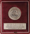 MEDAGLIE - CITTA' - Pavia - Medaglia Camera di commercio (AG g. 5,99) Ø 29 In confezione
FDC