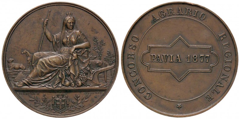 MEDAGLIE - CITTA' - Pavia - Medaglia 1877 - Concorso agrario AE Opus: Pieroni Ø ...