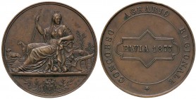 MEDAGLIE - CITTA' - Pavia - Medaglia 1877 - Concorso agrario AE Opus: Pieroni Ø 40
SPL