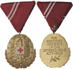 MEDAGLIE ESTERE - AUSTRIA - Prima Repubblica (1918-1938) - Medaglia Al Merito della Croce Rossa MD mm 39x41
FDC