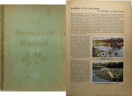 VARIE - Figurine Album figurine 1936 "Uccelli d'Europa"
Buono