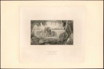 BELGIAN CONGO. Banque Du Congo Belge. 500 Francs, ND. P-18A. Back Vignette Proof. Uncirculated.

Elephants in water with man watching from afar. The...