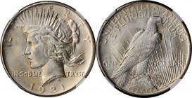 1921 Peace Silver Dollar. High Relief. MS-64 (NGC).

PCGS# 7356. NGC ID: 2U4E.

Estimate: $600