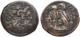 Egipto Ptolemaico. Ptolomeo VI, Filometor (180-145 a.C.). AE 30. (S. 7900). 20,95 g. MBC-.