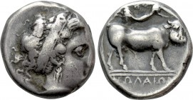 CAMPANIA. Neapolis. Didrachm (Circa 320-300  BC).