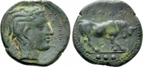 SICILY. Gela. Ae Tetras or Trionkion (Circa 420-405 BC).