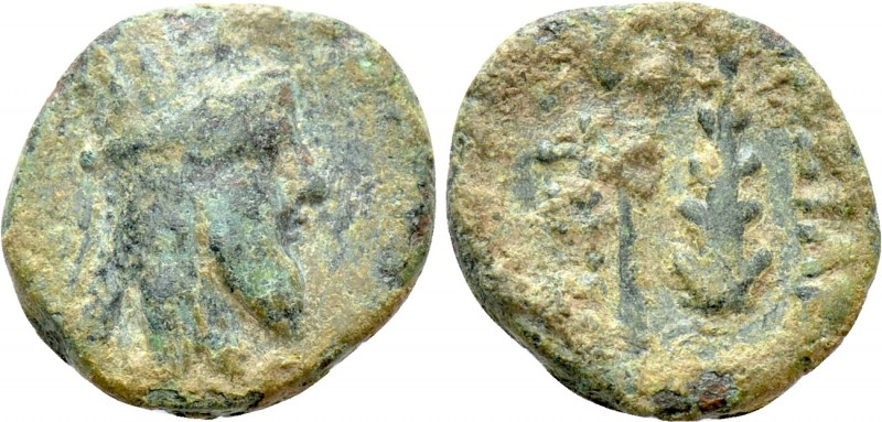 KINGS OF ARMENIA. Tigranes VI (First reign, 60-62). Ae. 

Obv: Diademed and dr...